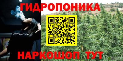 стафф Ярославль