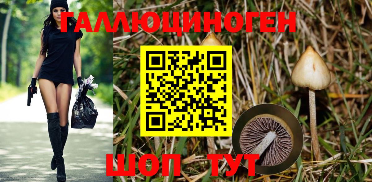 Псилоцибиновые грибы ЛСД Керчь